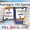 Kamagra 100 Ajanta 12